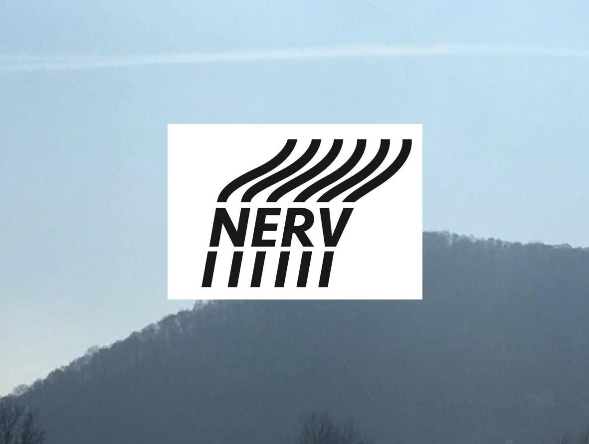 NERV Platforma cover image